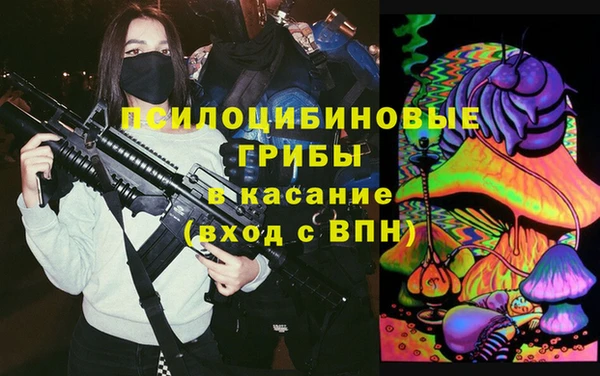 соль ск Арсеньев