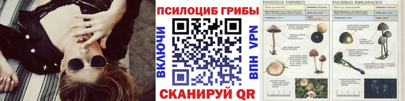 Псилоцибиновые грибы Magic Shrooms  Купить  Невель 
